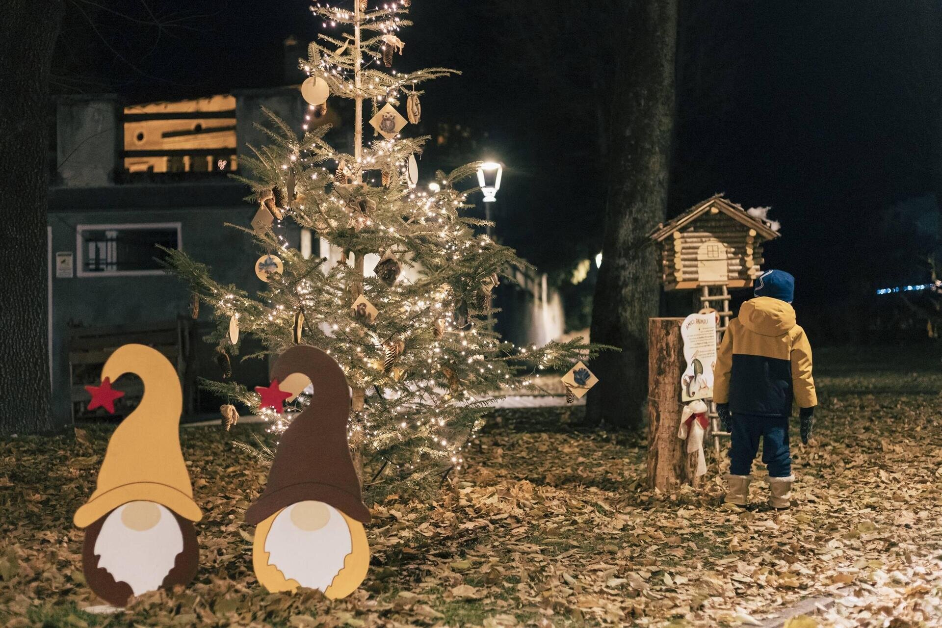 Villaggio Intrecci Gnomi