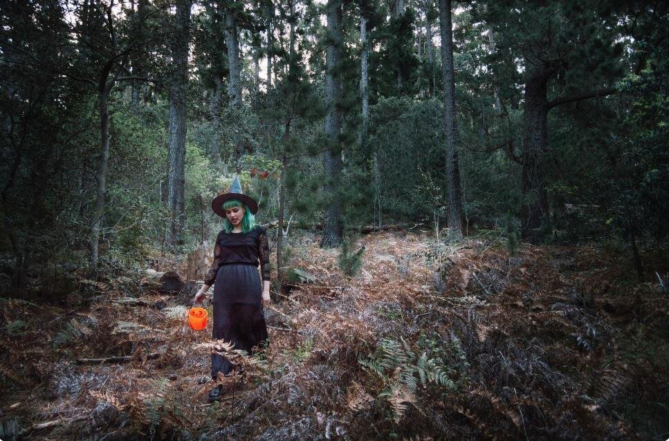 Laborabimbi: Nel Bosco delle Leggende