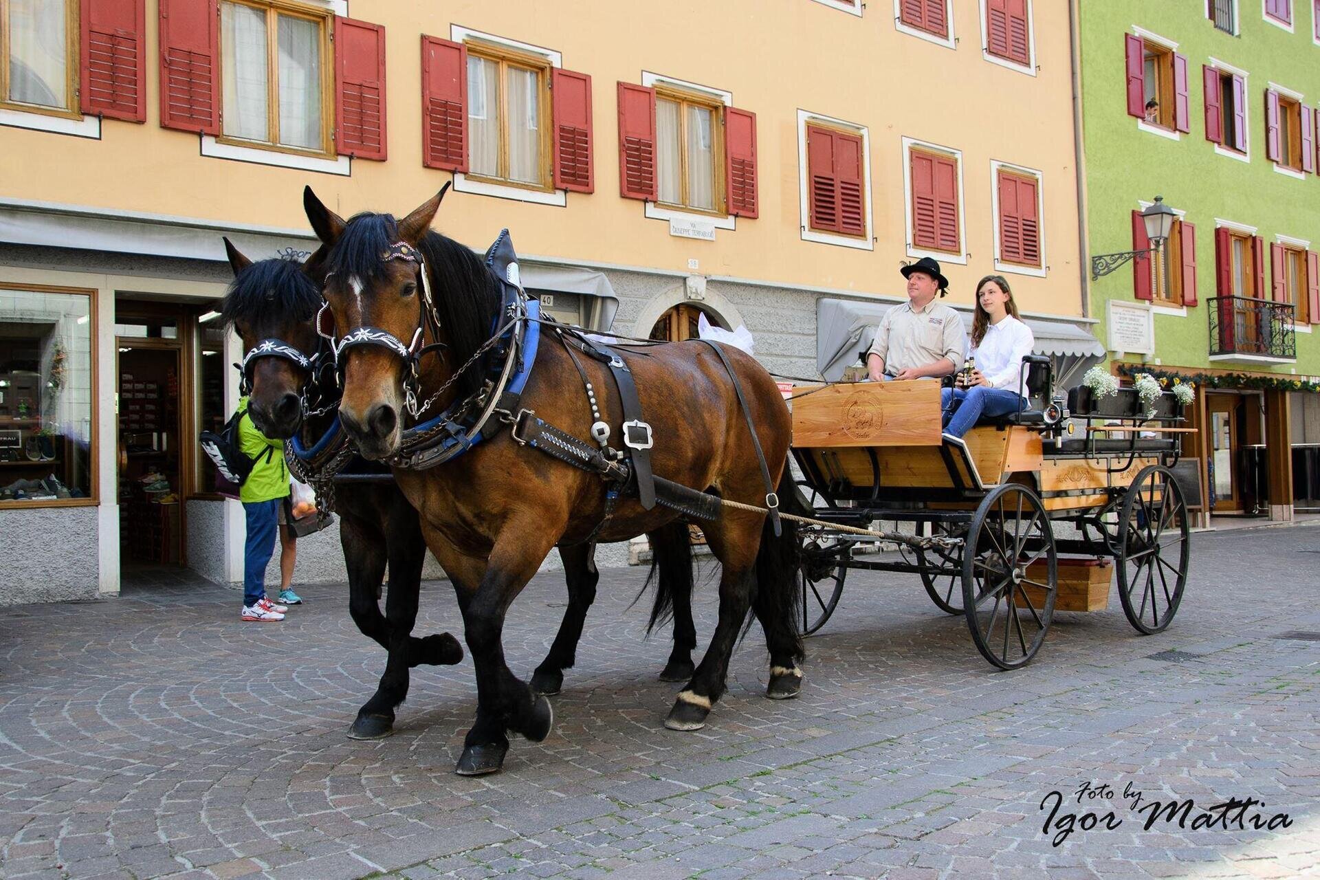 Primiero in Fiore: Speciale Pasqua