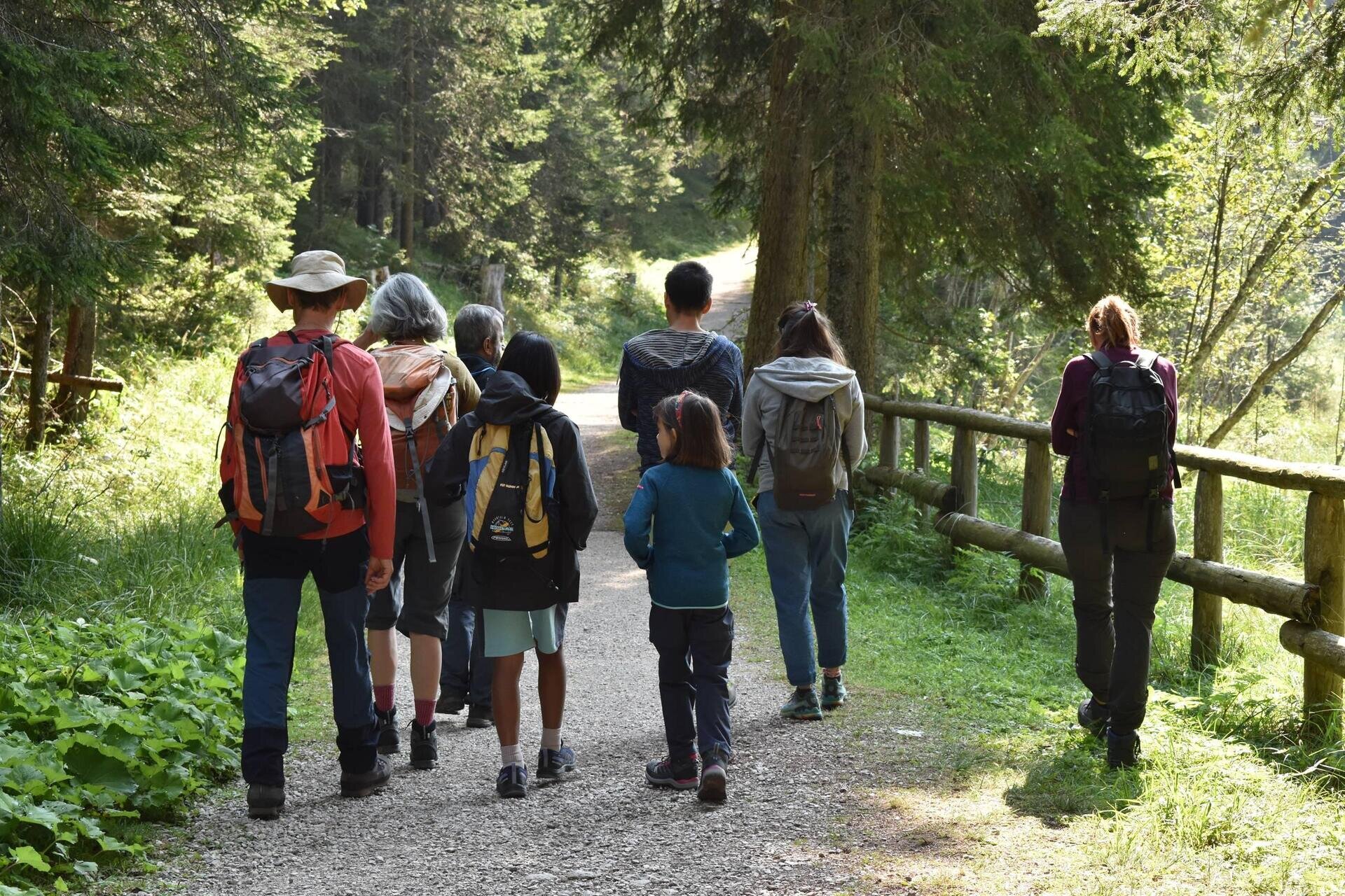 Accipicchio! Il bosco si rigenera a colpi di becco