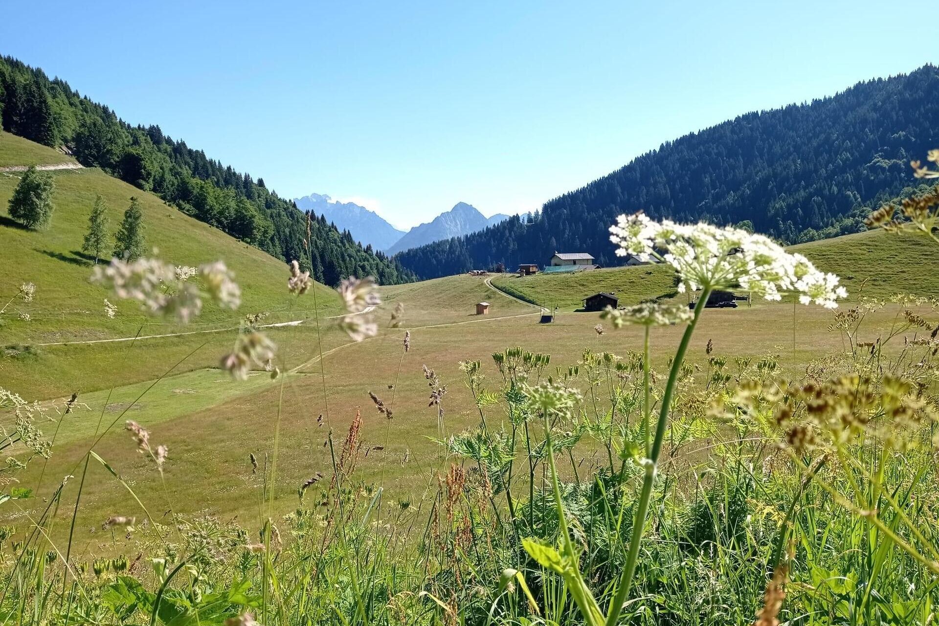 Alla scoperta dell'Alpe Vederna