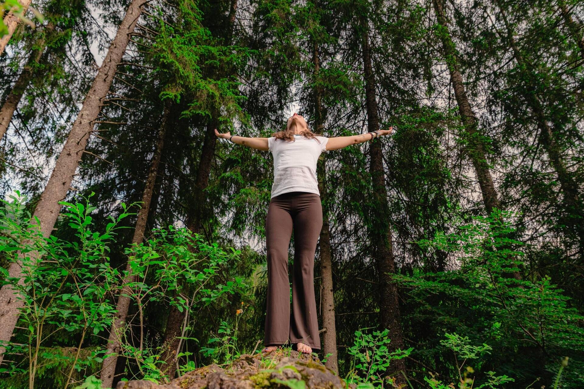 Benessere a Malga Pala: Yoga, Mindfulness e colazione