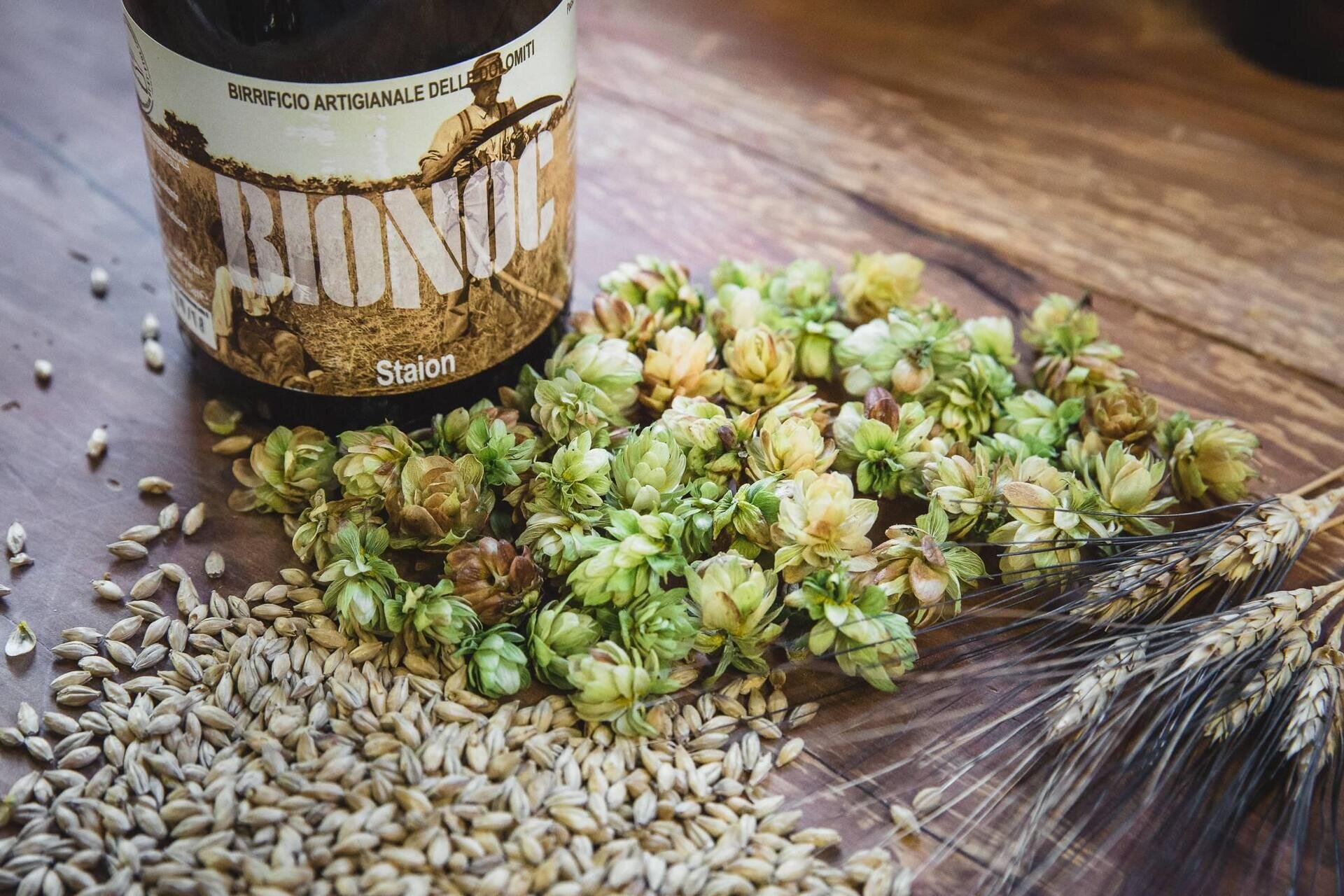 BirriAmo: scopri il birrificio Bionoc,cammina sulla via Nova,gusta il cheesenic