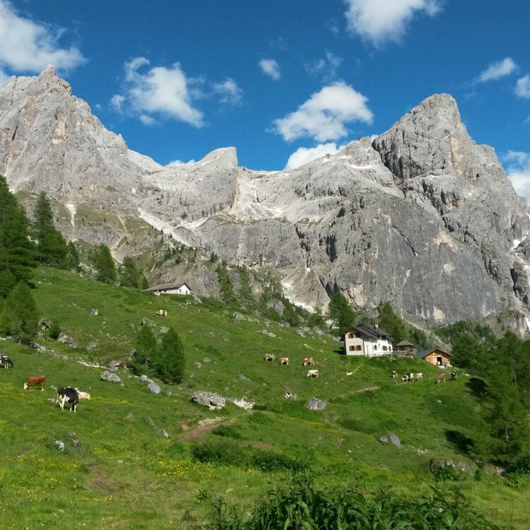Fattoria didattica a malga Pala