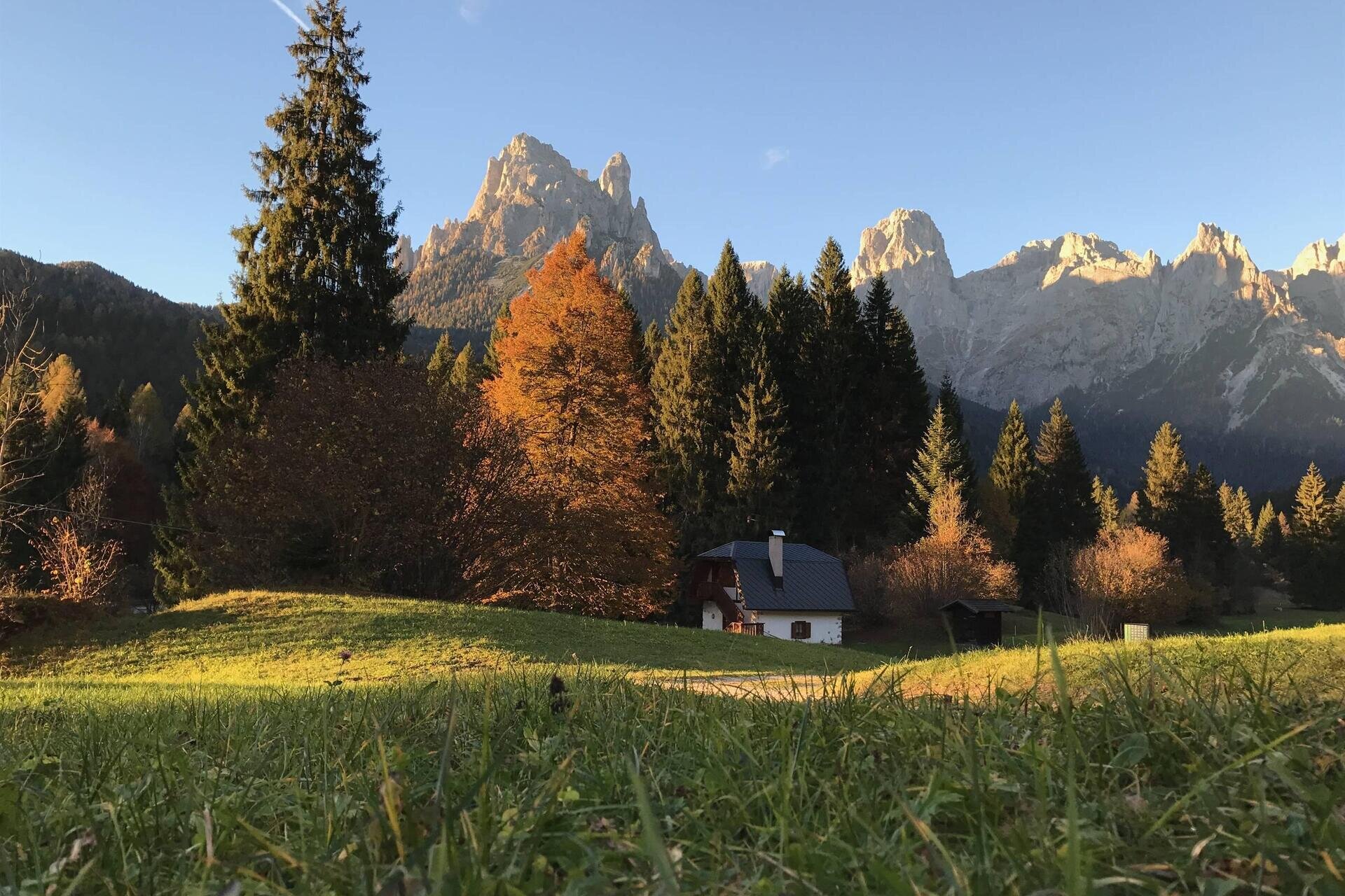 Foliage in Val Canali