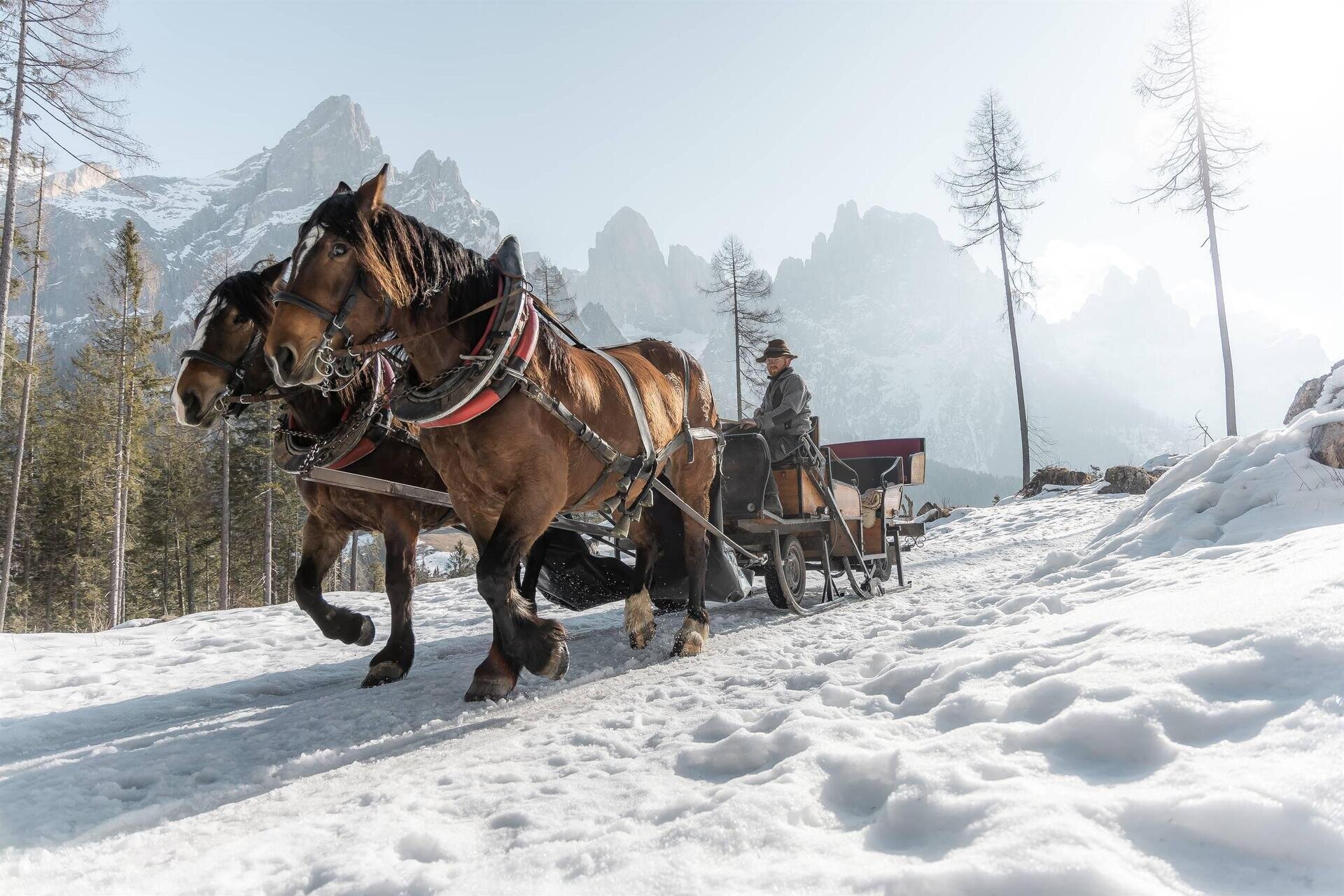 Giro in Troika a San Martino di Castrozza