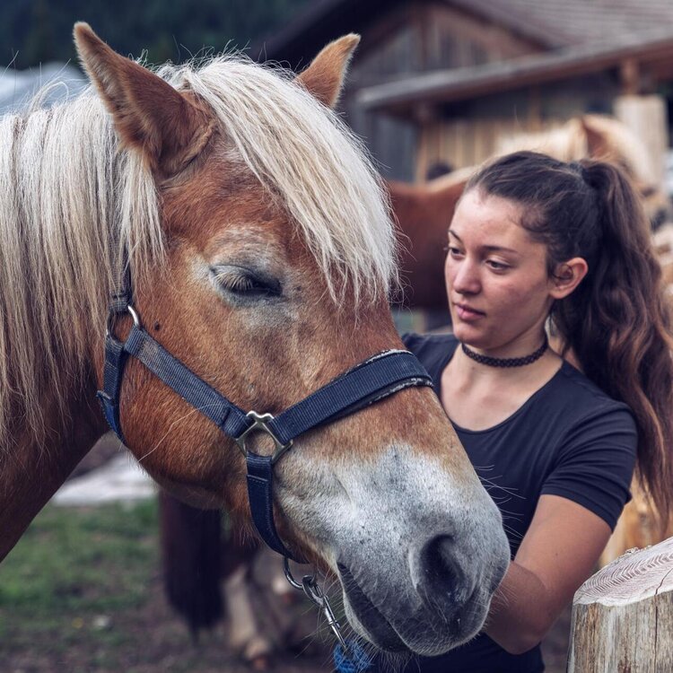 il-mio-amico-pony