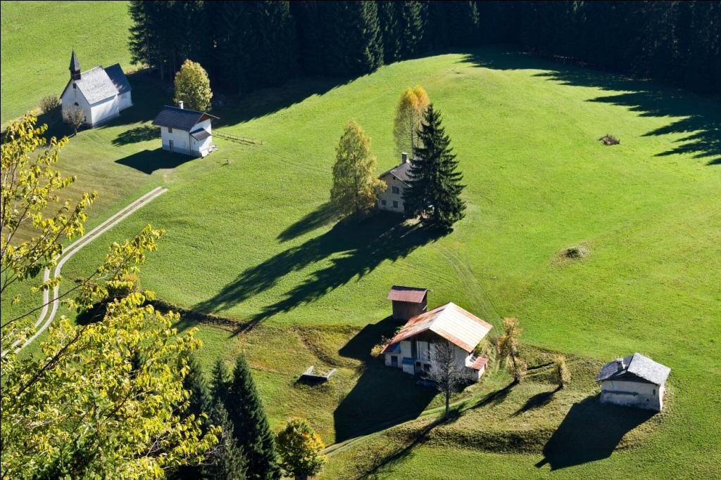 Immerigiti nel bosco del Cordogné