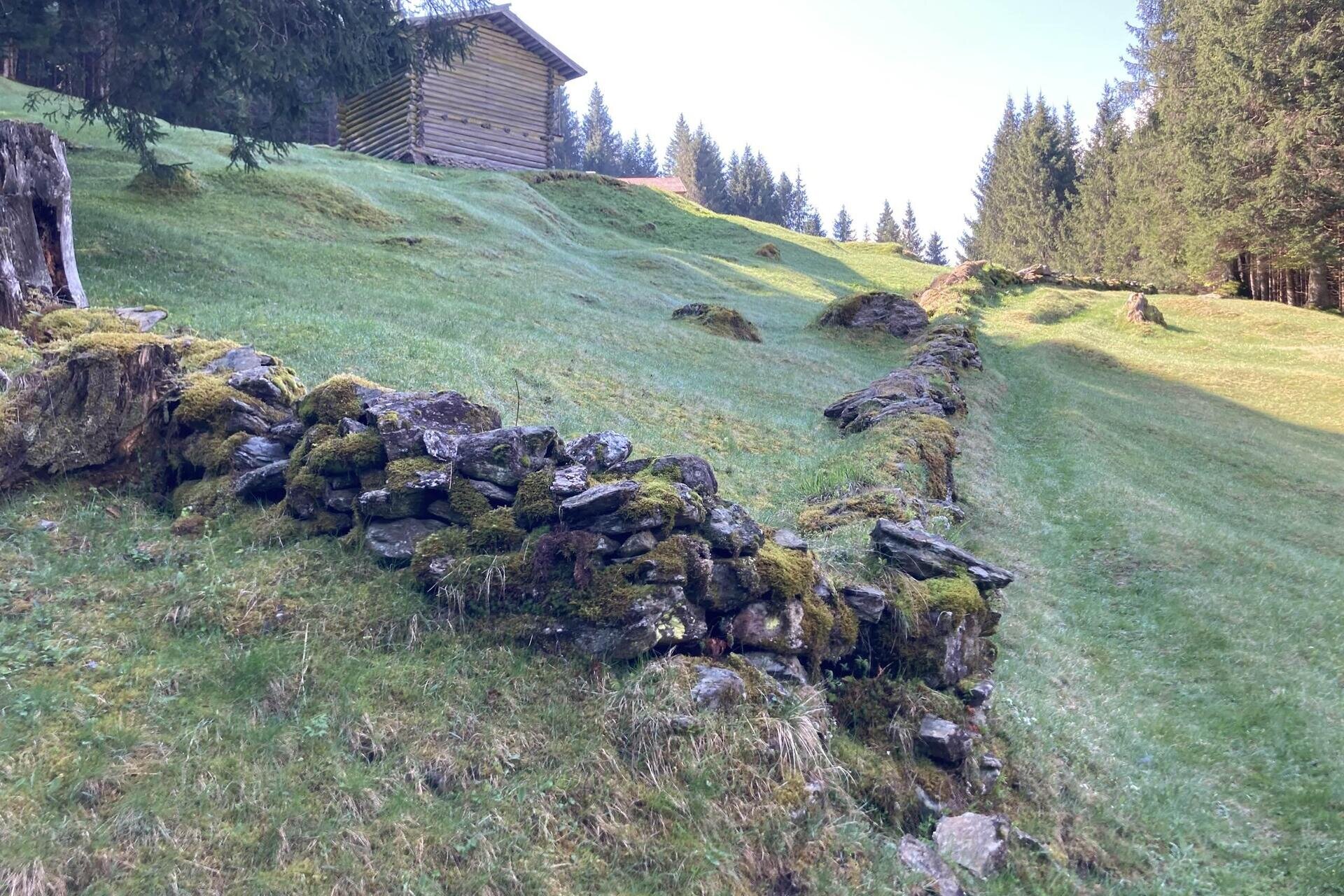 Maso Trekking Special