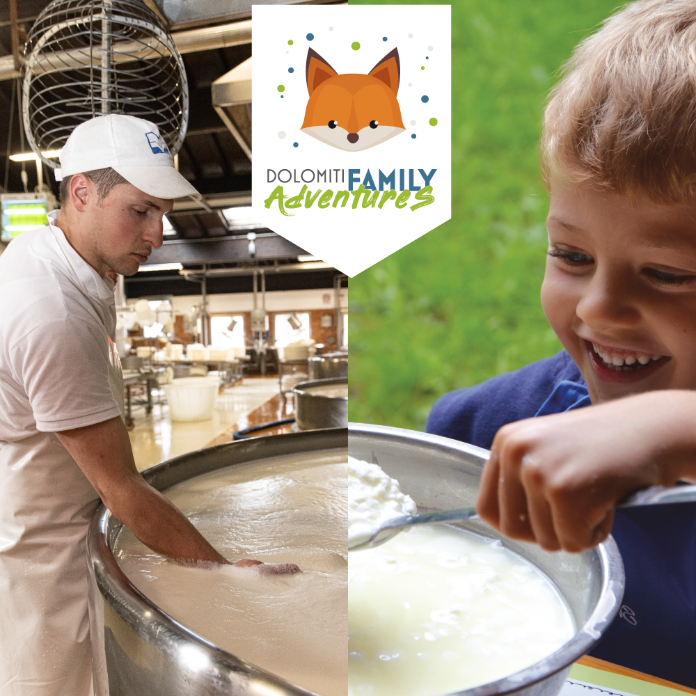 nei-panni-del-casaro