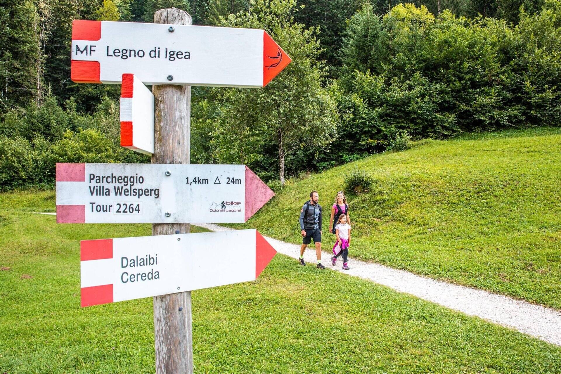 Passeggiata narrata lungo il sentiero delle Muse Fedaie