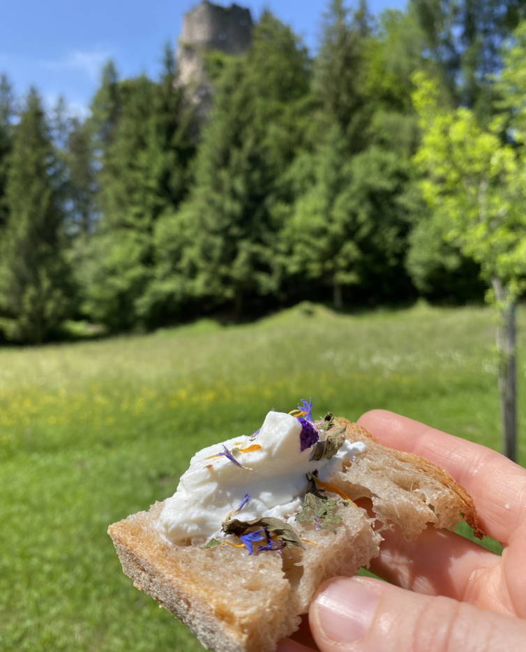 Visita ai ruderi del Castelpietra & Aperitivo