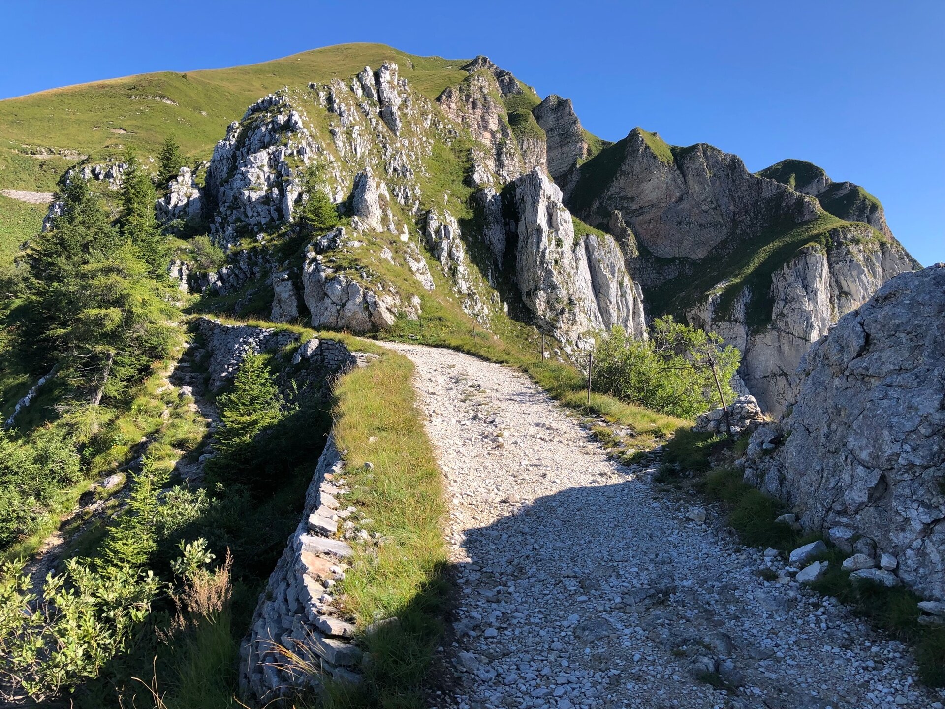 Img2 62436276 Default Variant