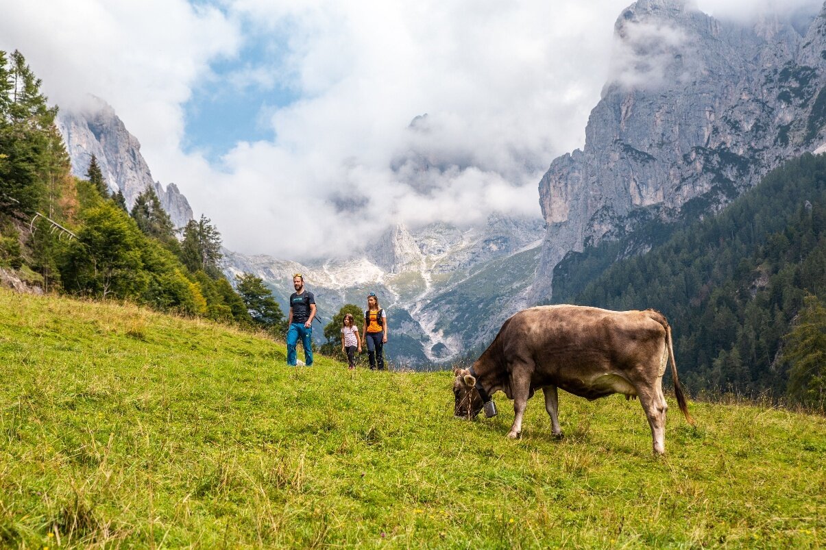 Rundwanderung die Ruinen der Malga Pradidali (alm)