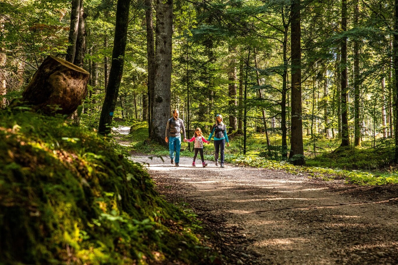 Img2 77406748 Default Variant