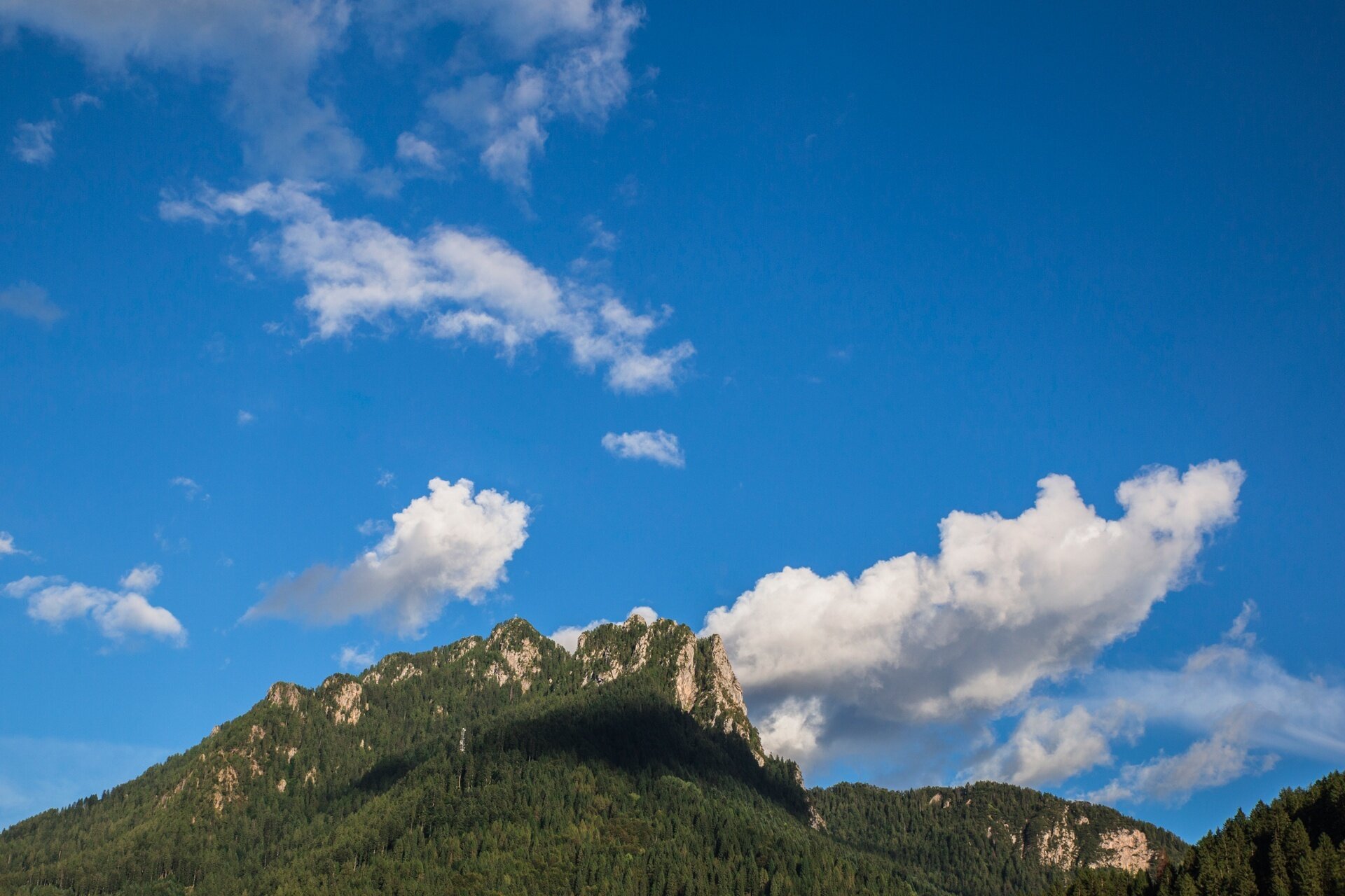 Img2 38178254 Default Variant