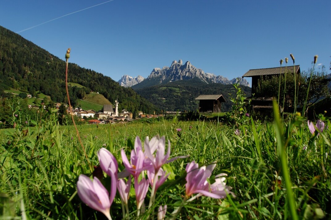 Family Green Way Primiero Tour