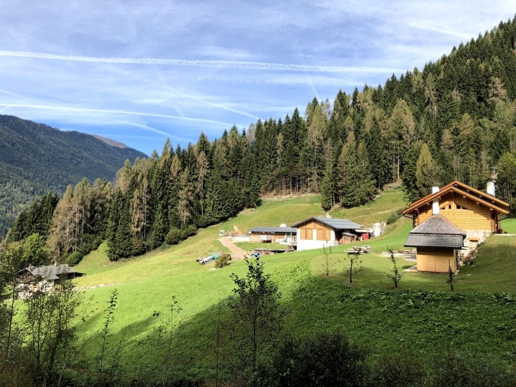 Img2 37891335 Default Variant