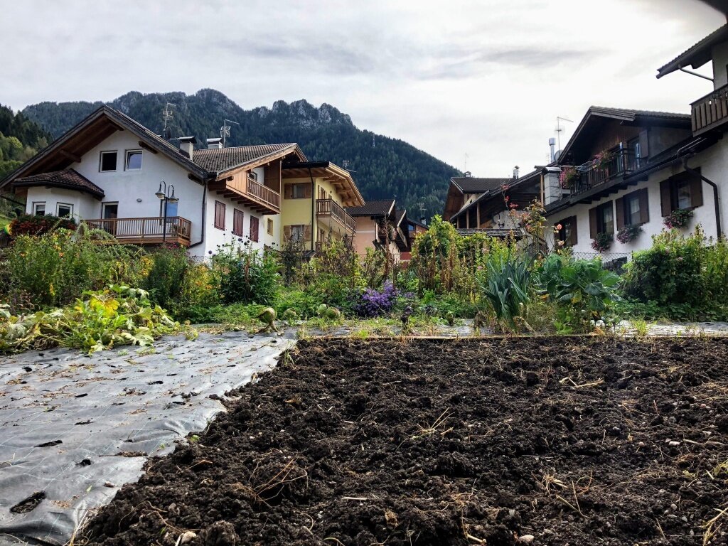 Img2 37891334 Default Variant