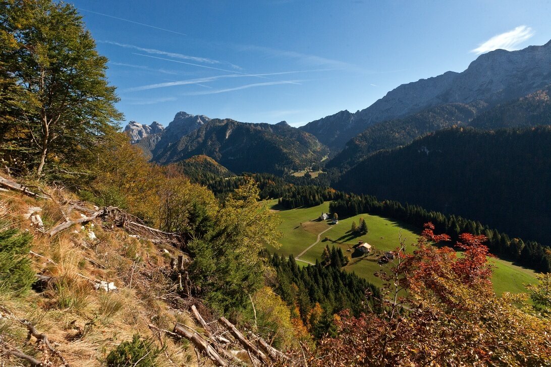 Img2 29921977 Default Variant