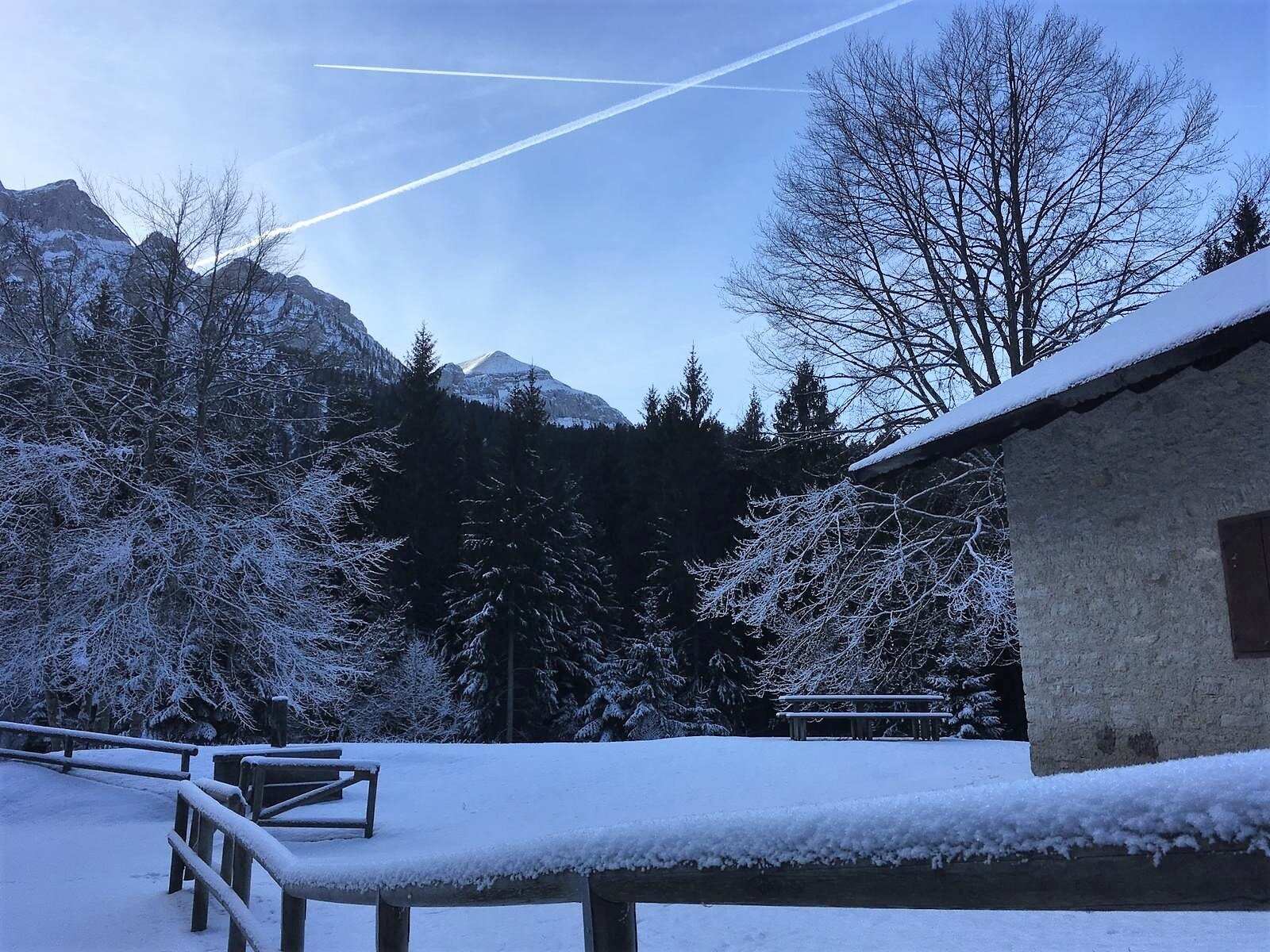 Img2 38808201 Default Variant