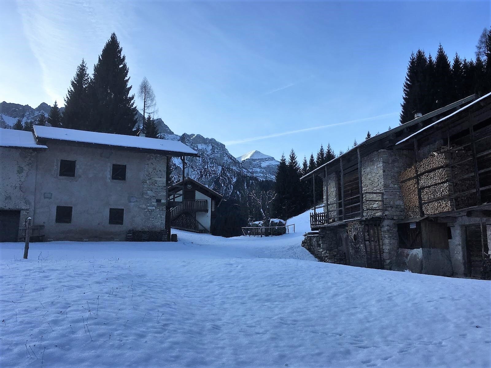 Img2 38808202 Default Variant