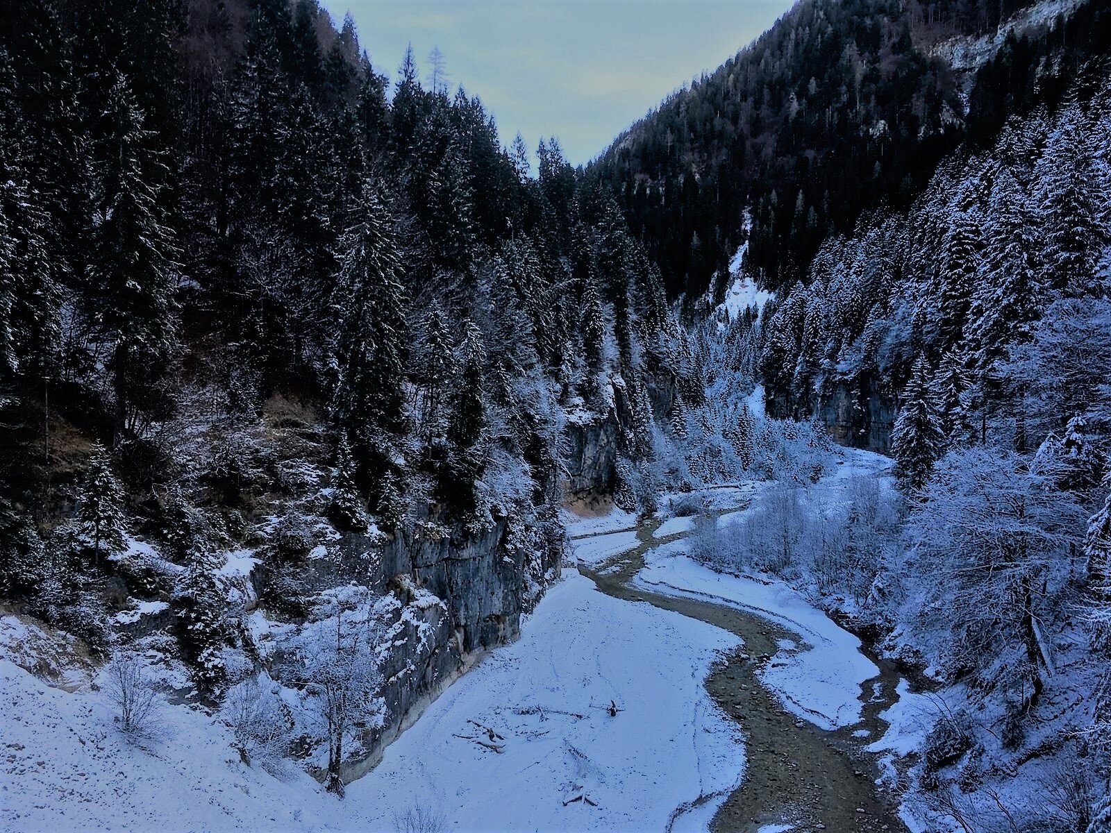 Img2 38808203 Default Variant