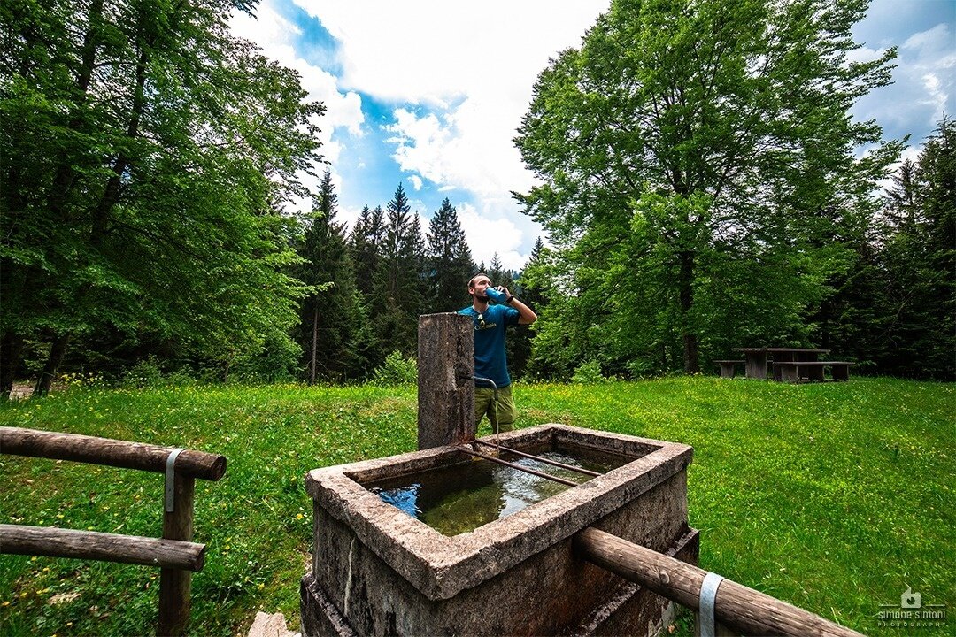 Img2 39571223 Default Variant