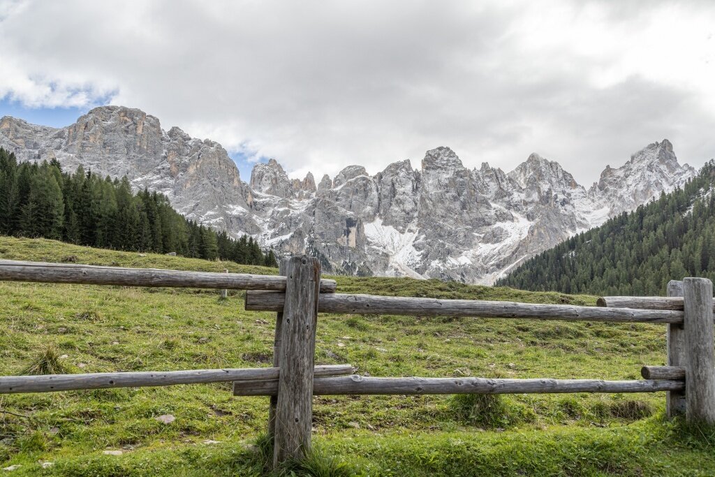 Img2 624988050 Default Variant