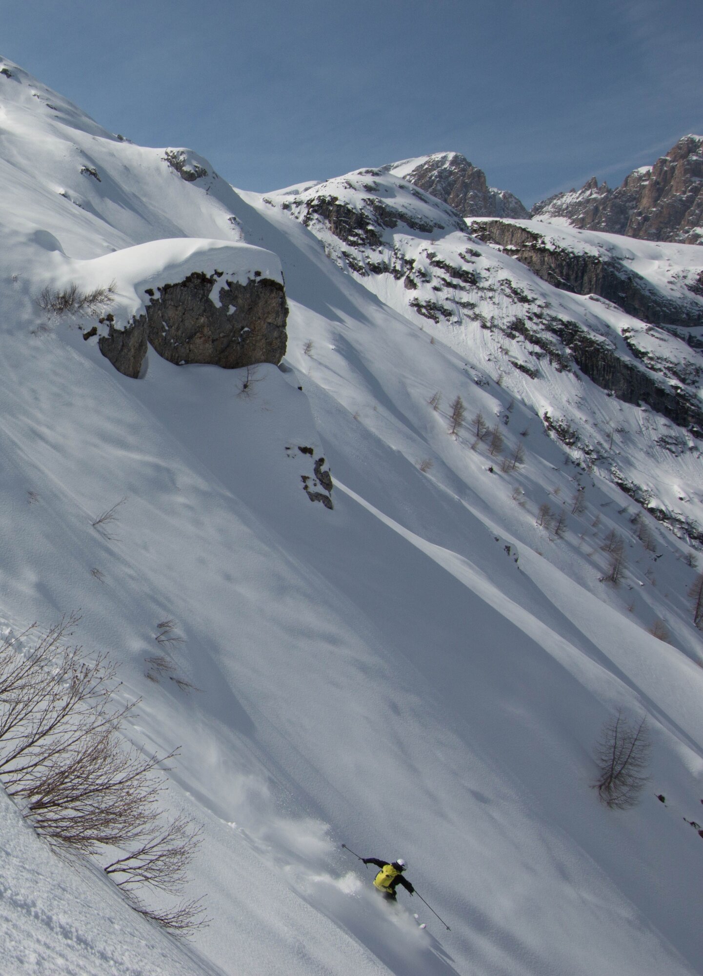 Img2 21073303 Default Variant