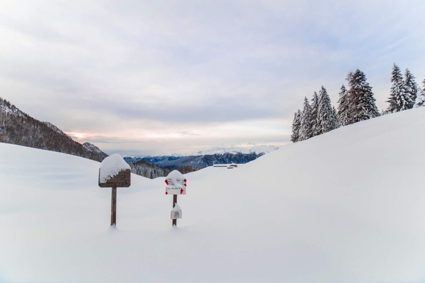 Img2 75231935 Default Variant