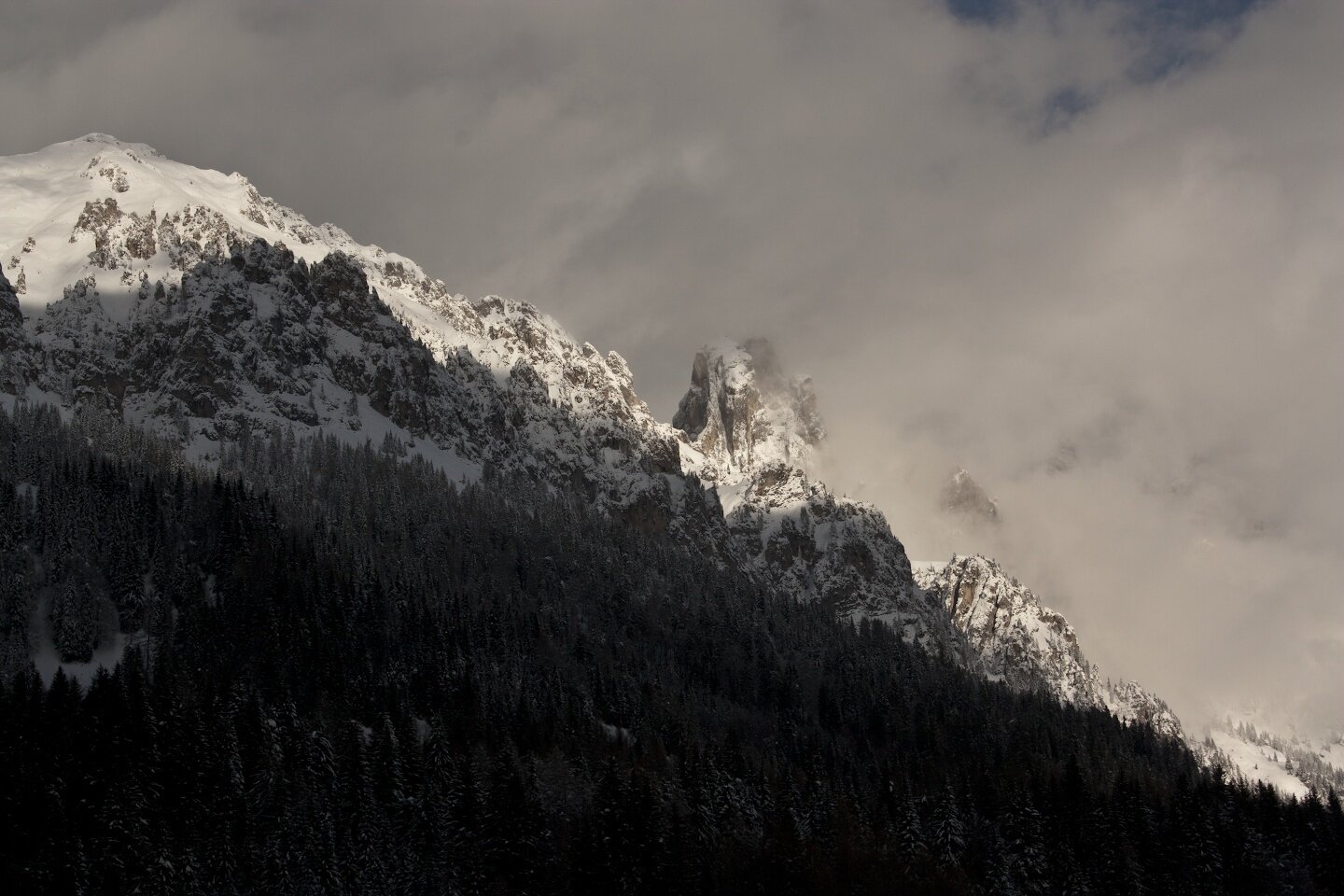 Img2 75231936 Default Variant