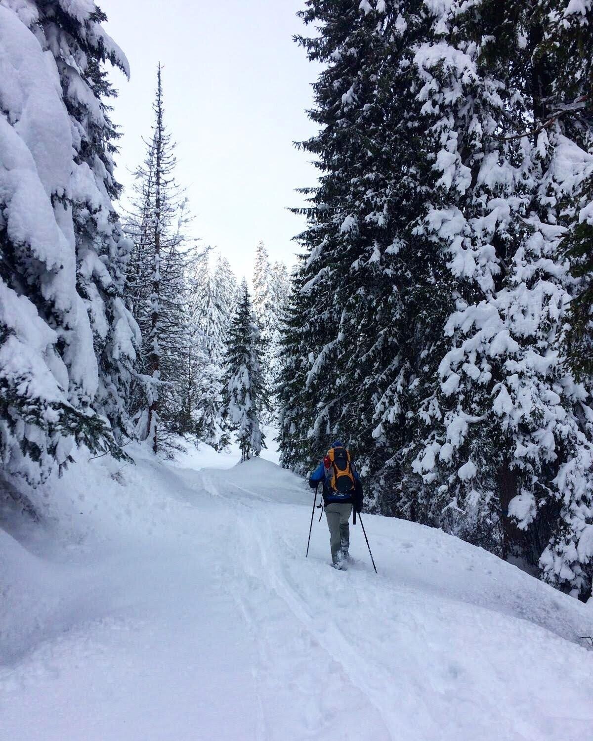 Img2 75231938 Default Variant