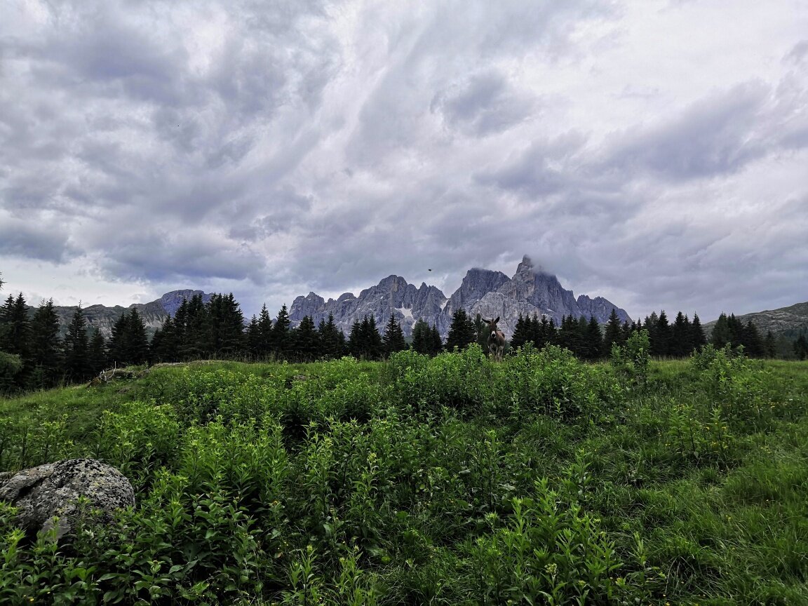 Img2 611306380 Default Variant