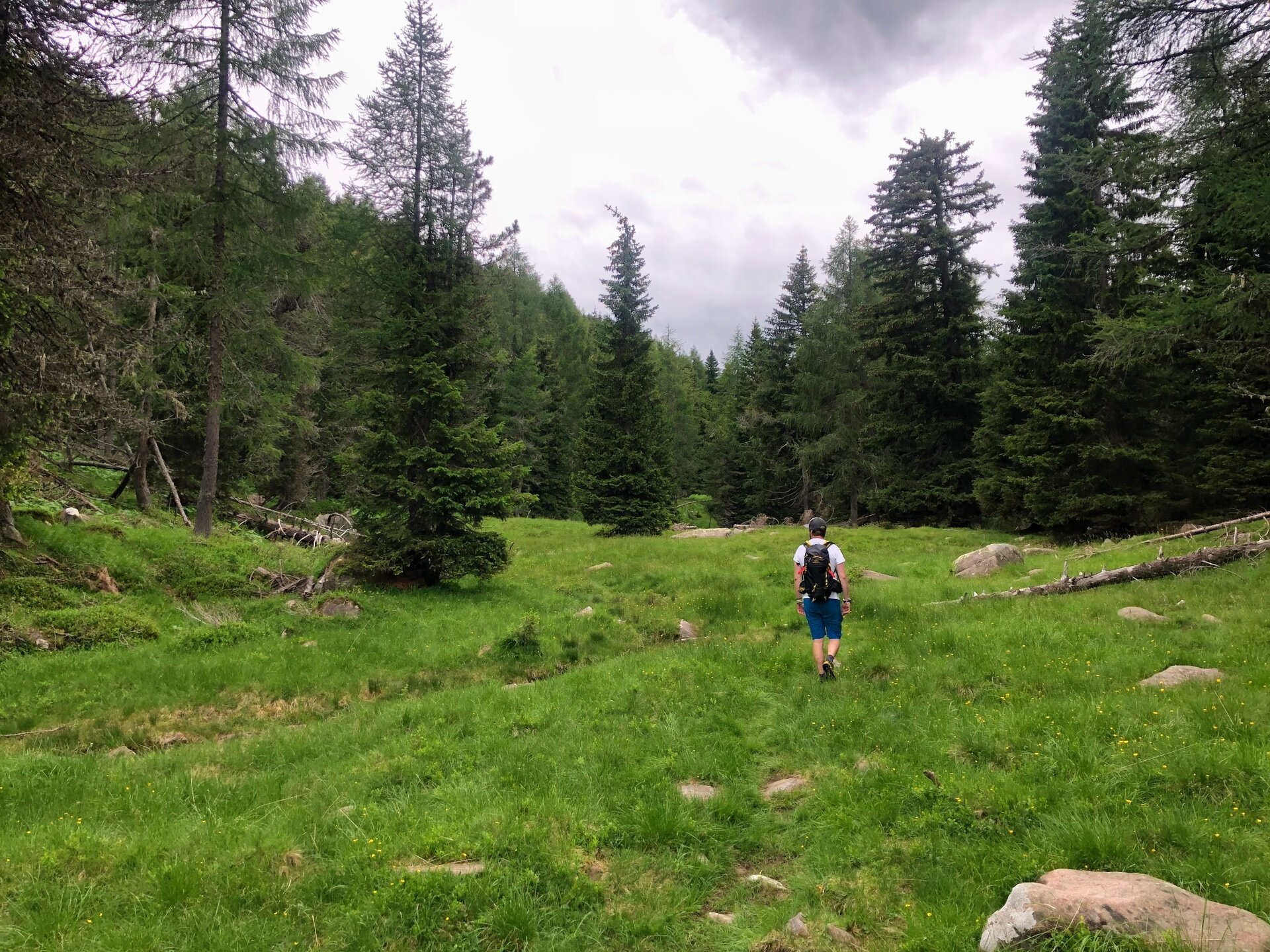 Img2 611306382 Default Variant