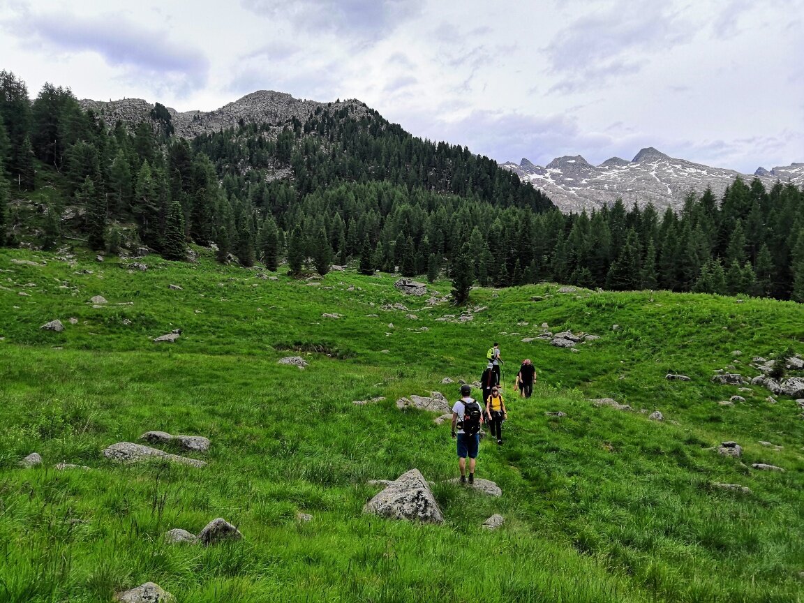 Img2 611306383 Default Variant