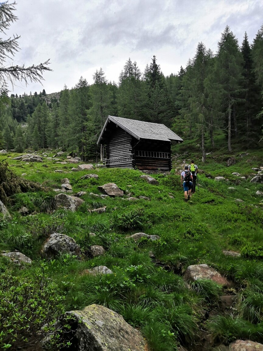 Img2 611306384 Default Variant