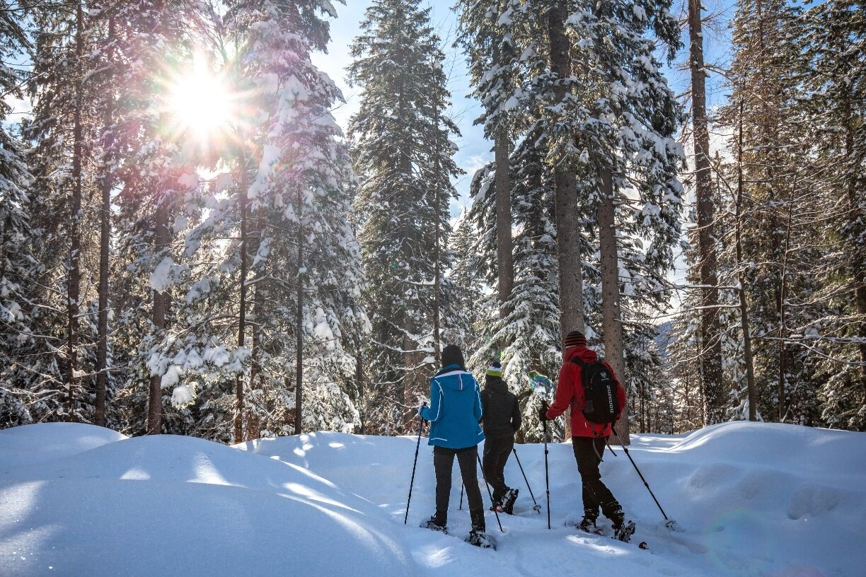 Còl – Forest Refuge – Malga Civertaghe – Val di Ròda