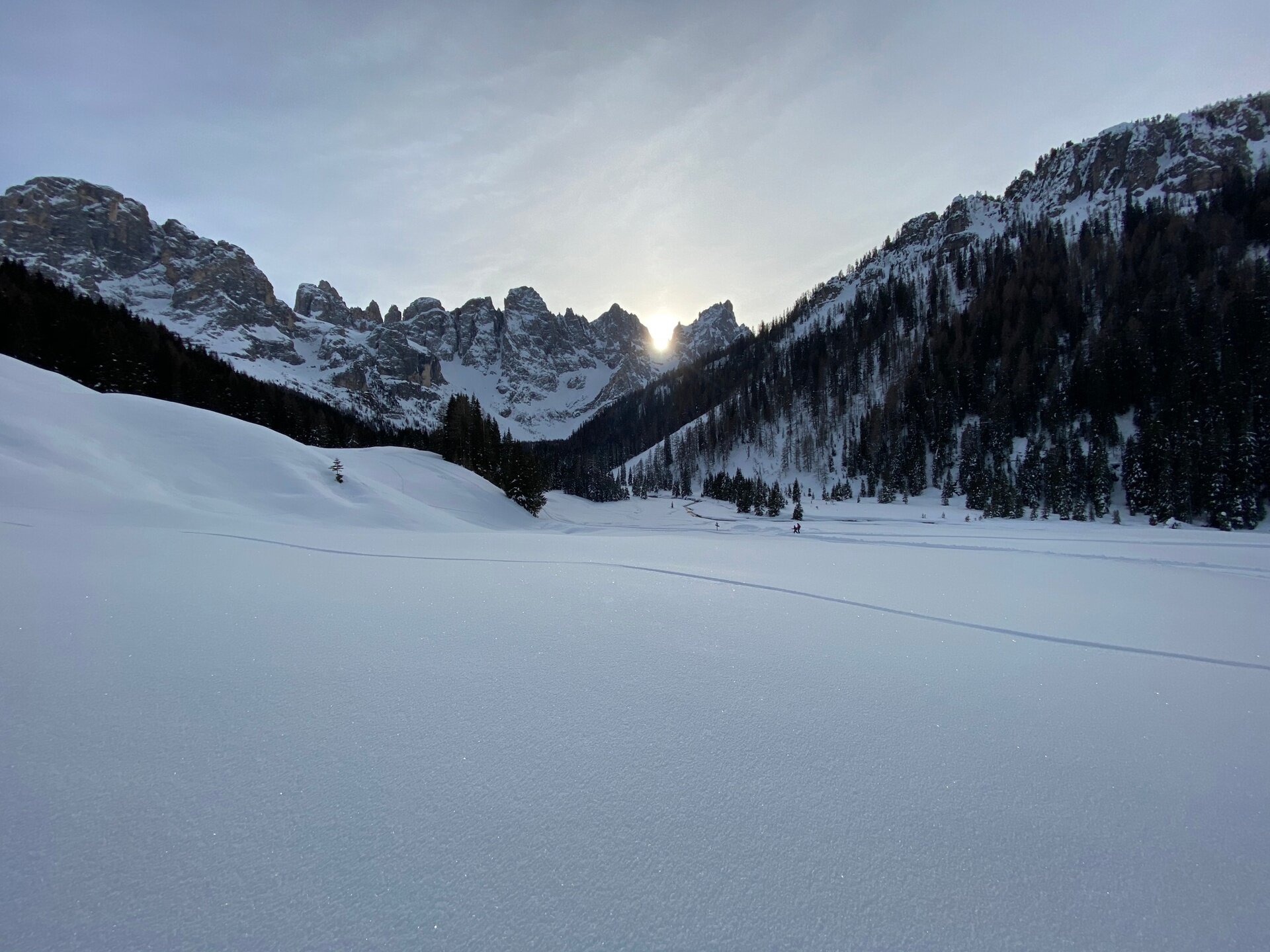 Img2 75221148 Default Variant