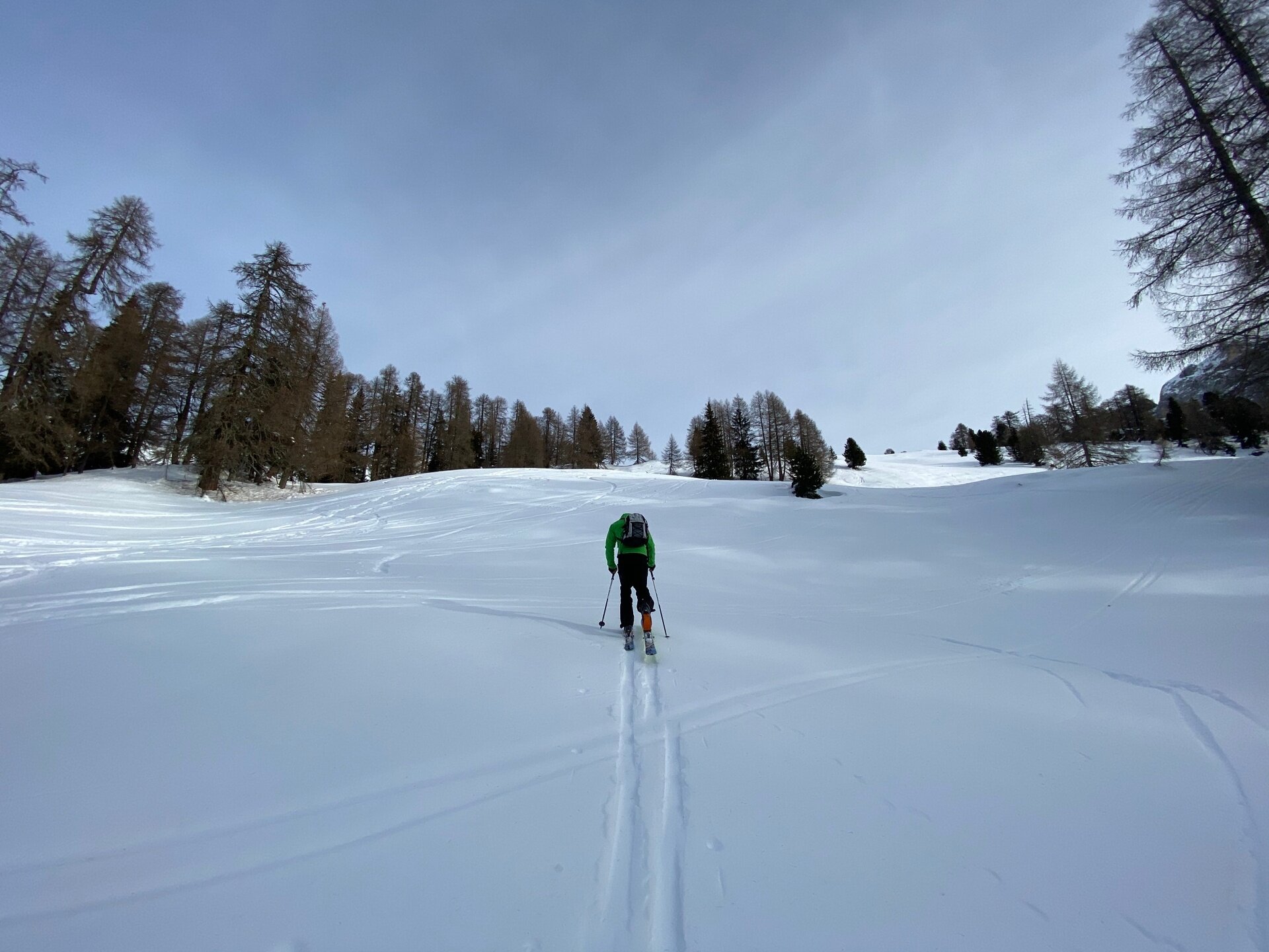 Img2 75221150 Default Variant