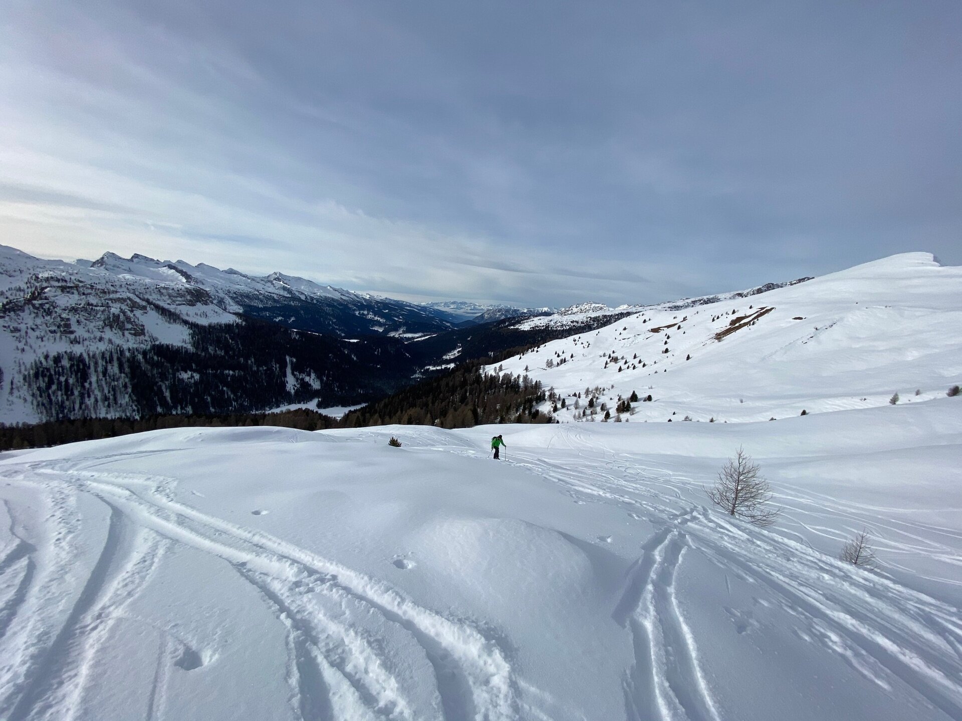 Img2 75221154 Default Variant