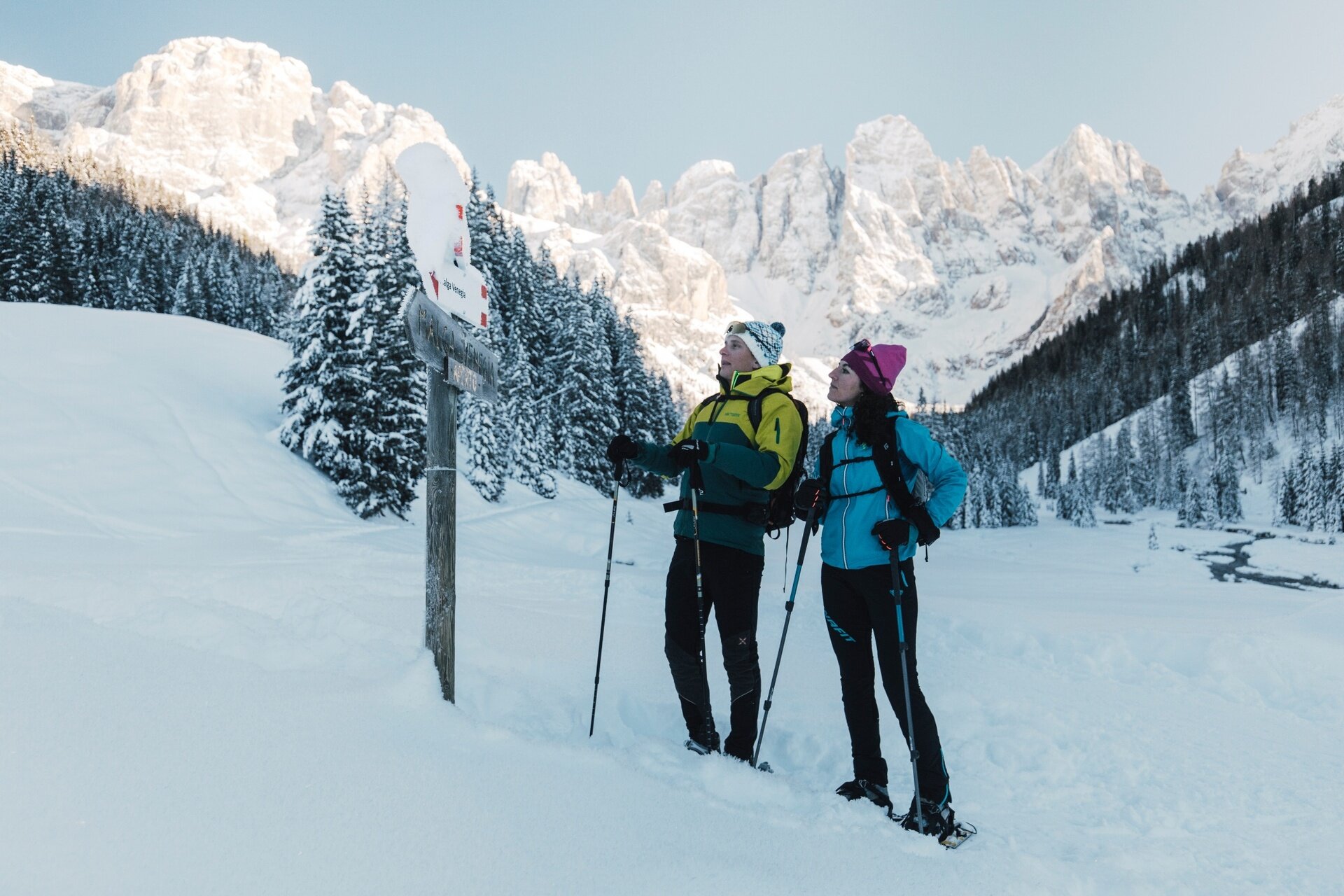 Img2 607562541 Default Variant