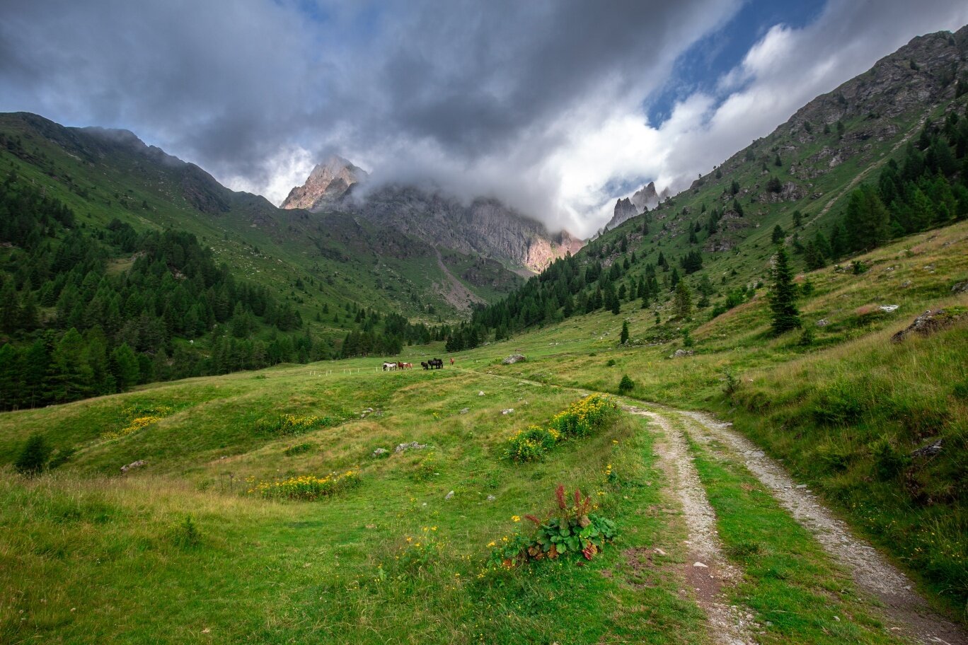 Img2 611259646 Default Variant