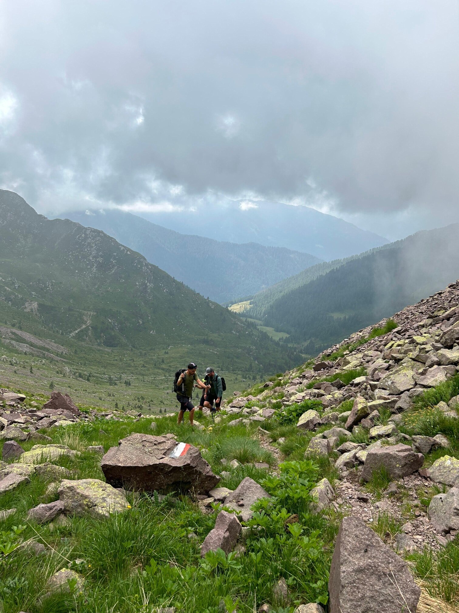 Img2 611259649 Default Variant