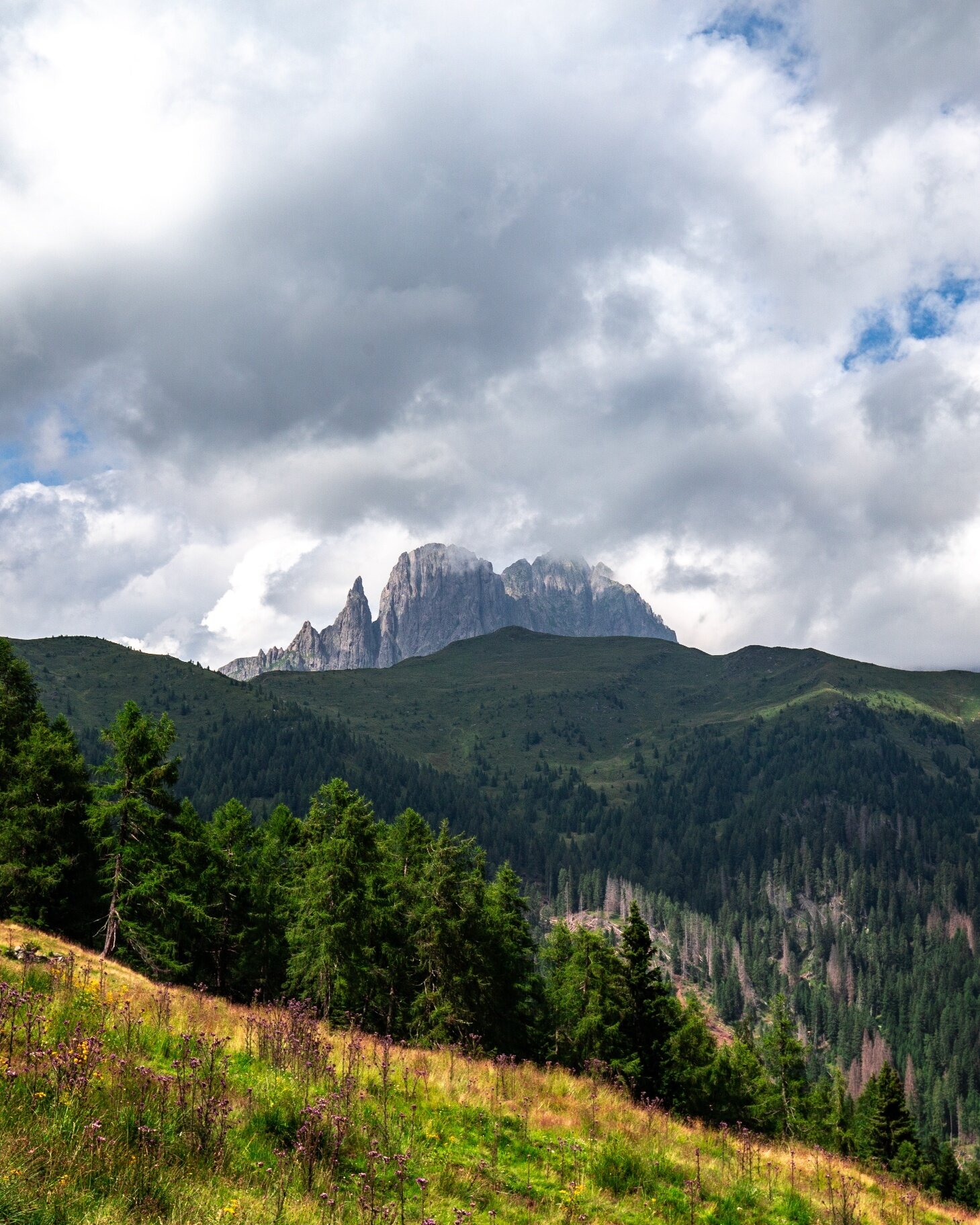 Img2 611259659 Default Variant