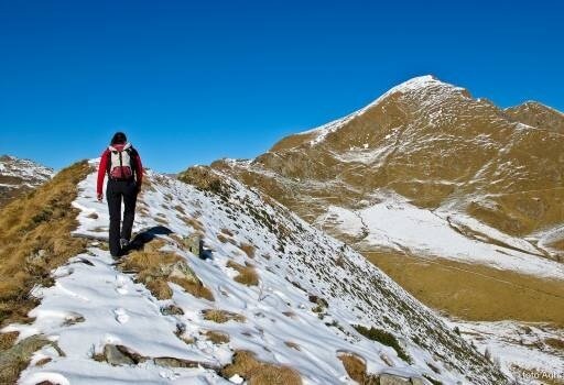 Img2 5067488 Default Variant