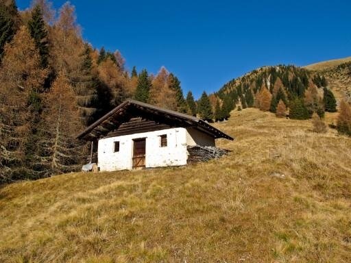 Img2 5067594 Default Variant