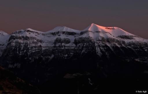 Img2 5067599 Default Variant