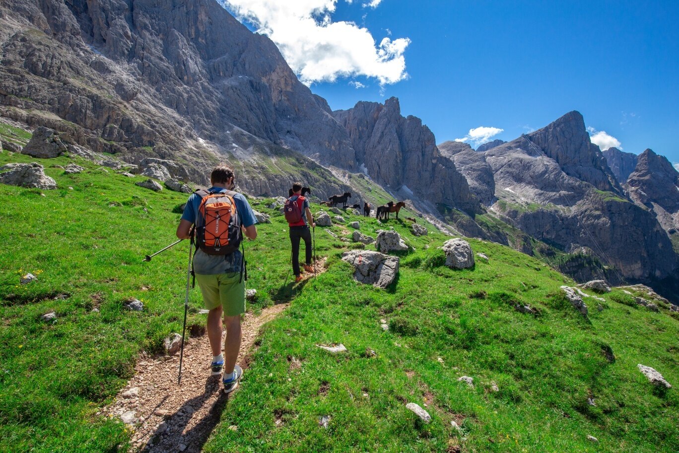 Img2 611571648 Default Variant