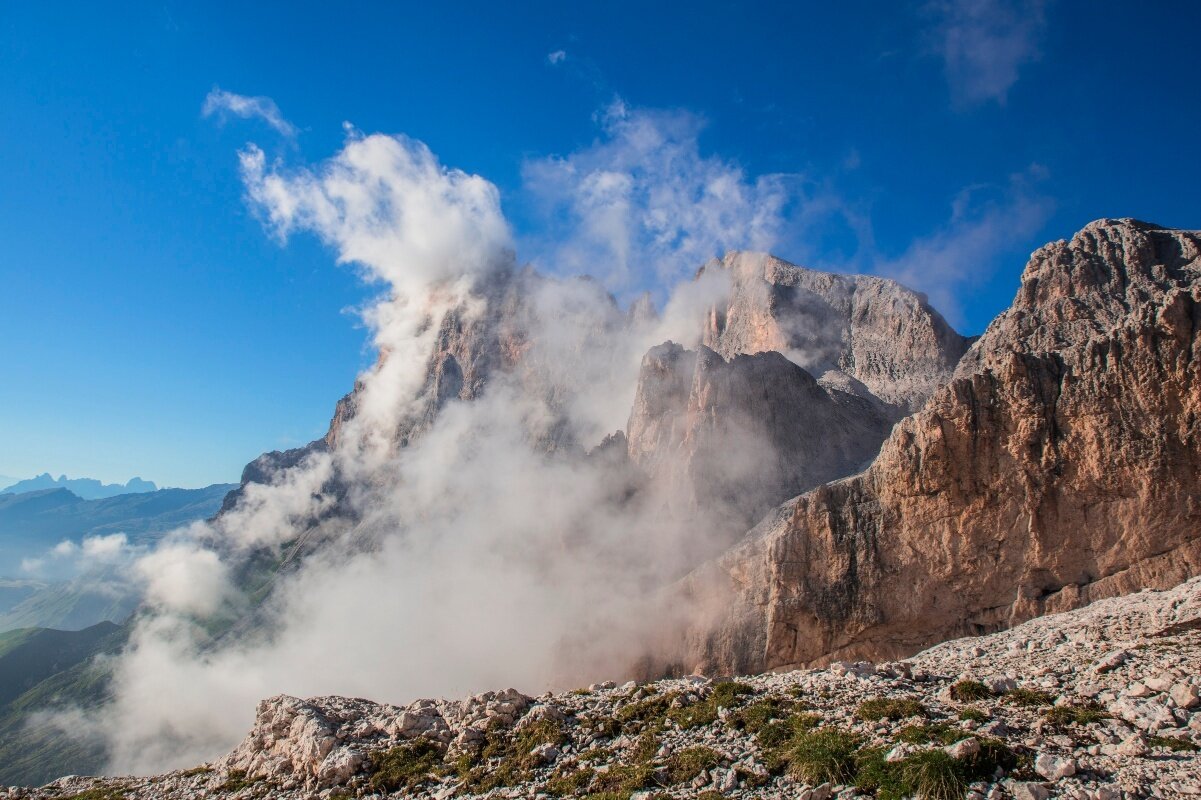 Img2 611482646 Default Variant